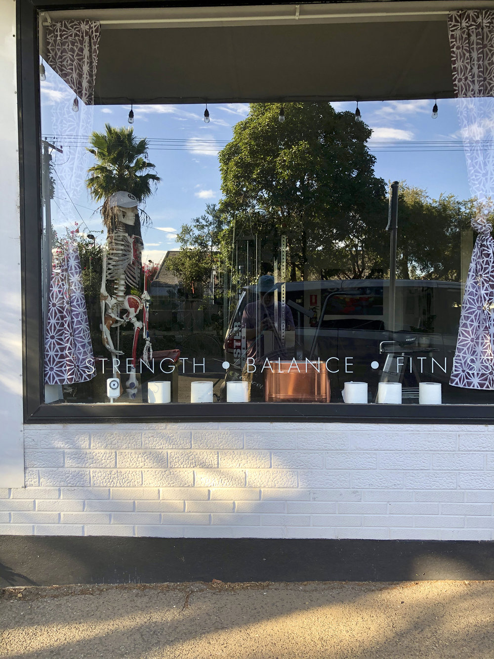 Toilet Roll Window Art Display - The strength is in the tissue