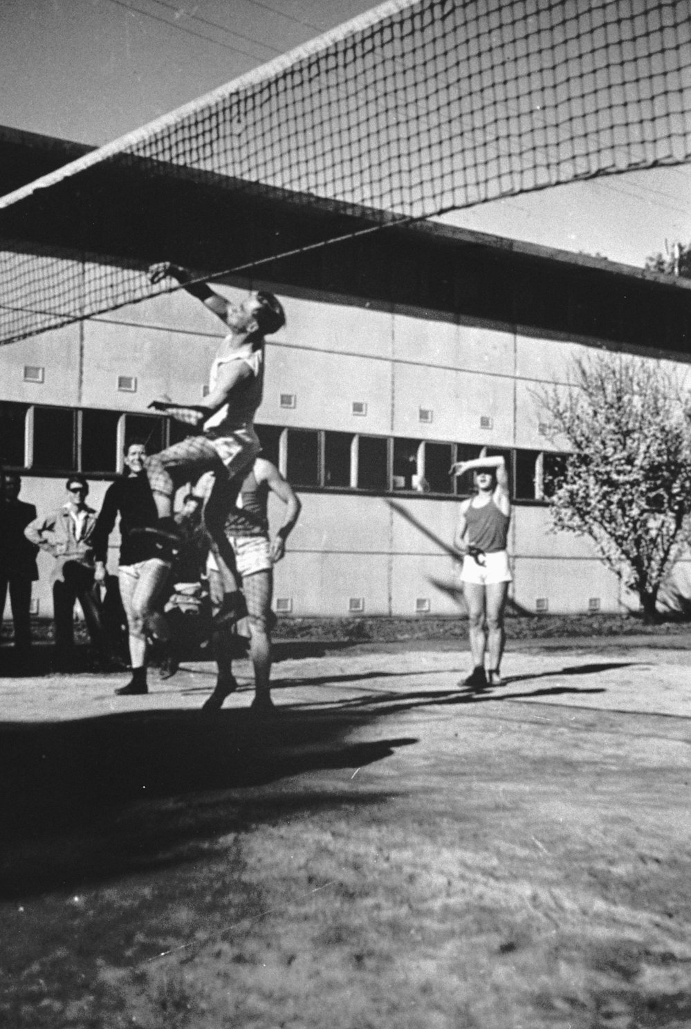 Estonian migrants playing volleyball