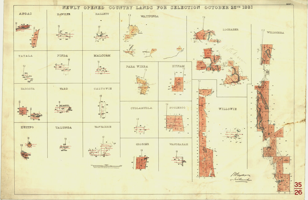 Newly opened country lands for selection October 21st 1881 [cartographic material] : Willochra ..