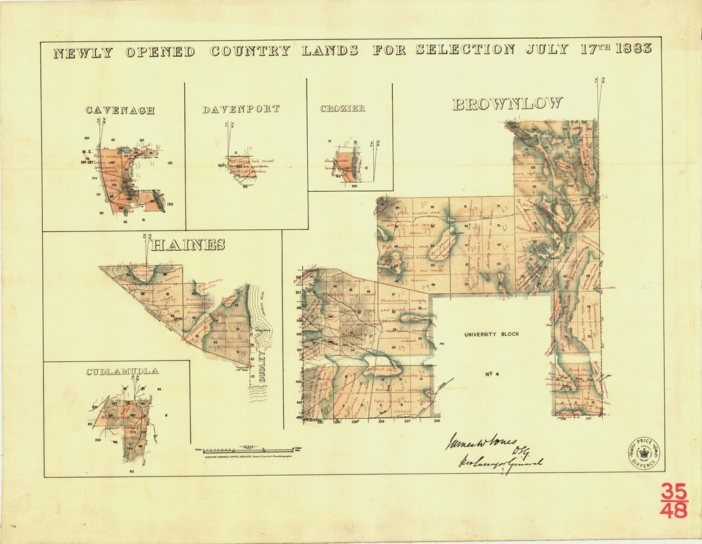 Newly opened country lands for selection July 17th 1883 [cartographic material] : Cavenagh ..