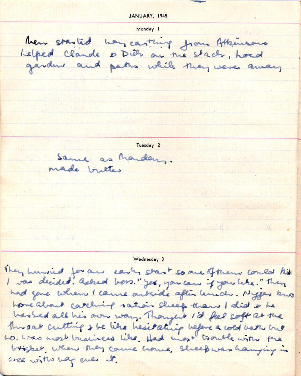 Diary of Frances Taylor