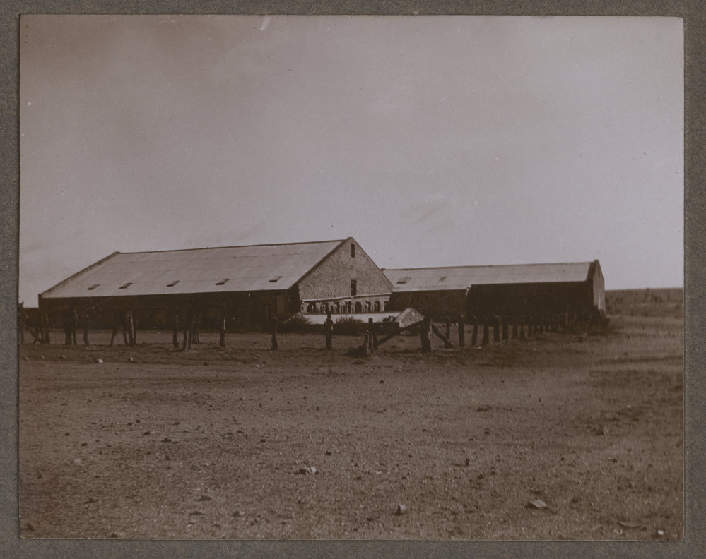 Woolshed, Mutooroo Station