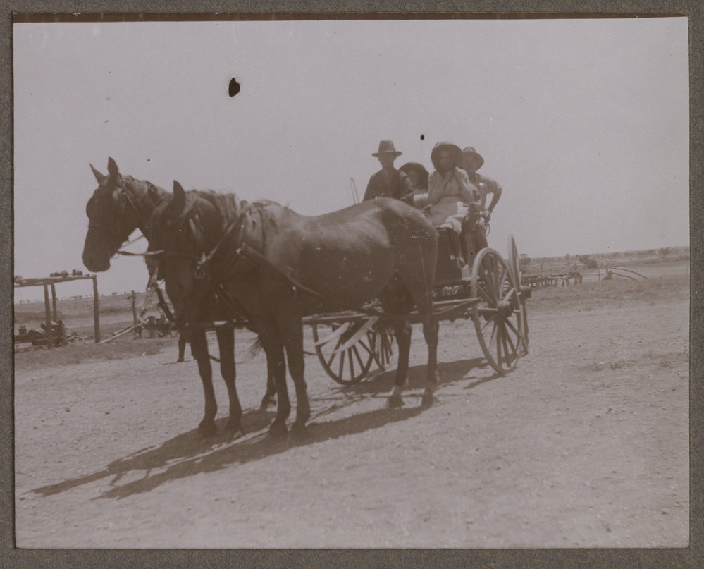 Group in a carriage at Mutooroo Station