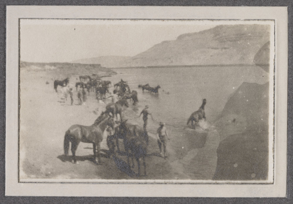 Watering horses, Girga