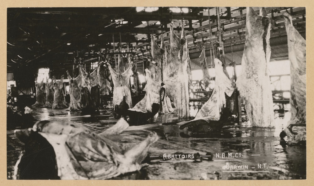 Abattoirs, N.A.M.Co., Darwin
