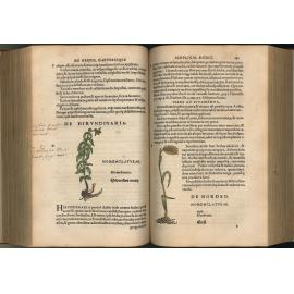 Botanicon: continens herbarvm, aliorvmqve simplicium,