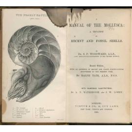 A manual of the Mollusca: a treatise on recent and fossil shells
