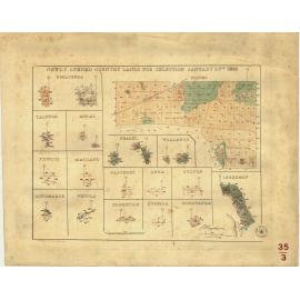 Newly opened country lands for selection January 27th 1880 [cartographic material] : Ninnes..