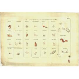 Newly opened country lands for selection July 20th, 1880 [cartographic material] : Pekina..