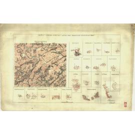 Newly opened country lands for selection March 29th 1881 [cartographic material] : Waroonee ...
