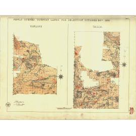 Newly opened country lands for selection October 25th 1881 [cartographic material] : Tinline, Talia