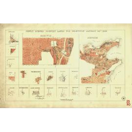 Newly opened country lands for selection January 24th 1882 [cartographic material] : Menzies ..