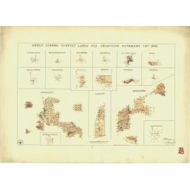 Newly opened country lands for selection November 14th 1882 [cartographic material] : Coomooroo ..
