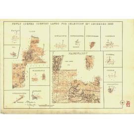 Newly opened country lands for selection 18th December 1883 [cartographic material] : Nangwarry ..