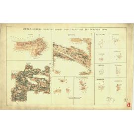 Newly opened country lands for selection 15th January 1884 [cartographic material] : Haines ..