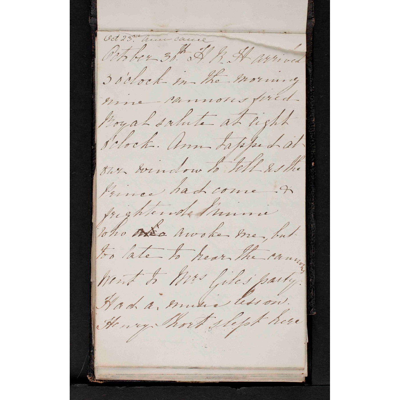 Diary of M.E. Warburton