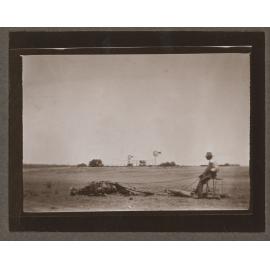 Mule breaking, Mutooroo Station