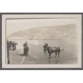 Watering horses, Girga