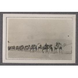 Camel Transport Corps