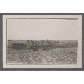 3rd Light Horse Regiment at Bir-El-Abd