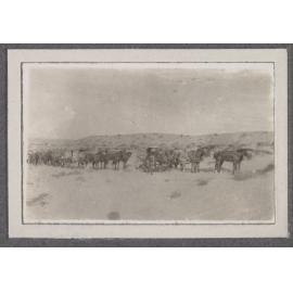 Field Ambulance