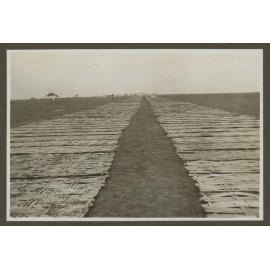 Bamboo runway