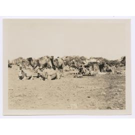 Camel team at Creek