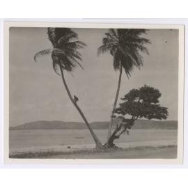 Thursday Island