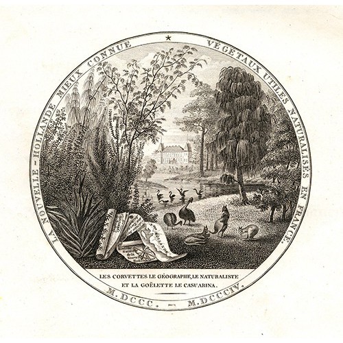 Chance Encounter: French influence in South Australia