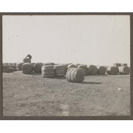 Wool bales, Mutooroo station
