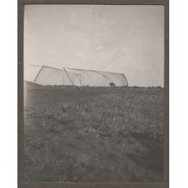 Bird catching, Lilydale