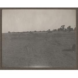 Bird catching, Lilydale