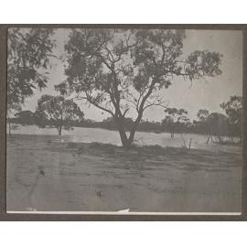 Dam, Mutooroo Station