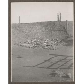 Rabbits, Mutooroo Station