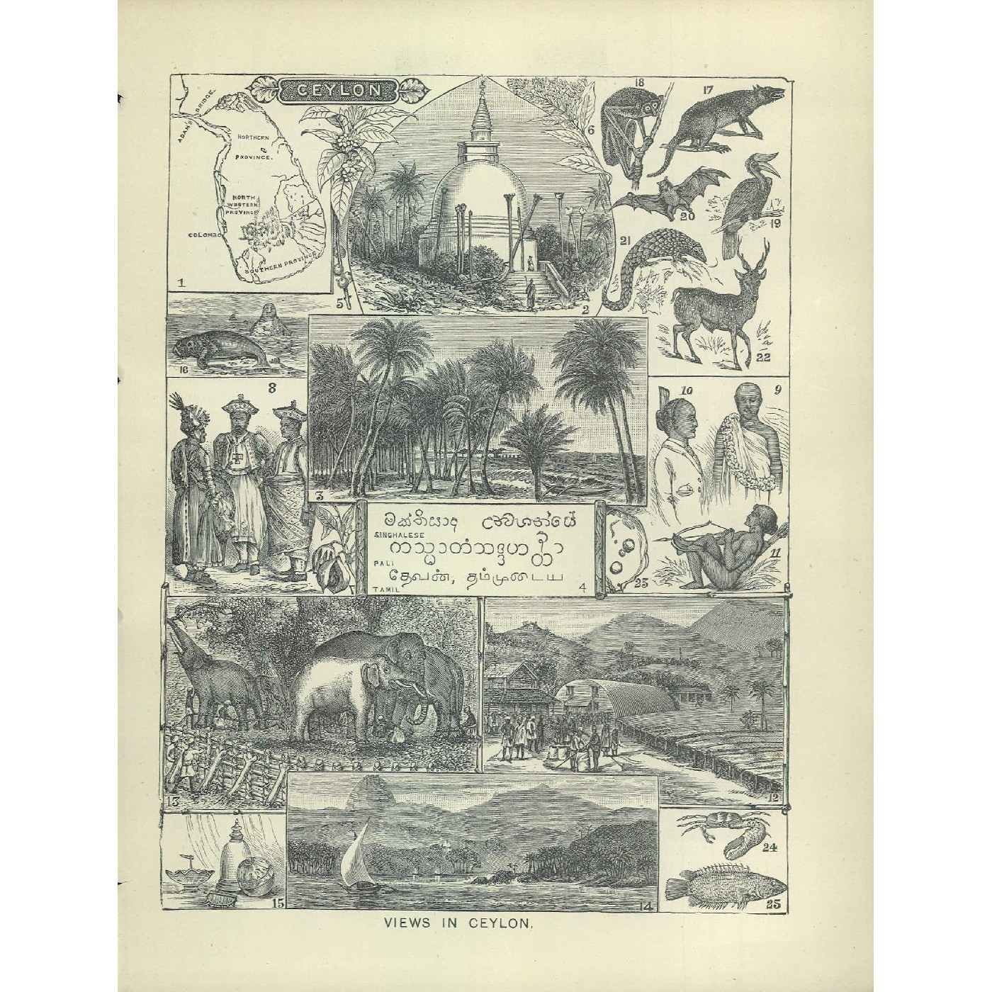 The Children's hour : class IV