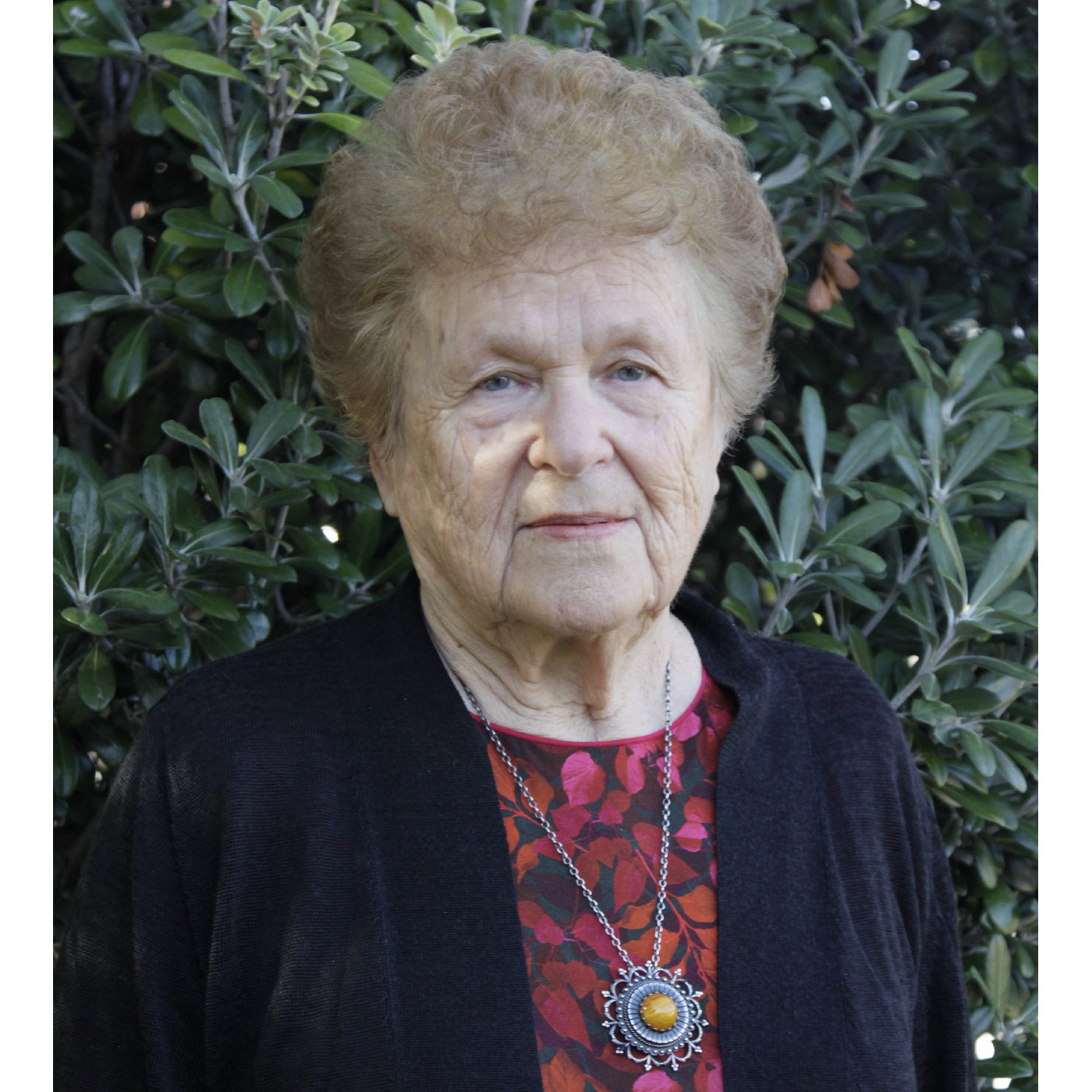 Saulcerite Strazdins