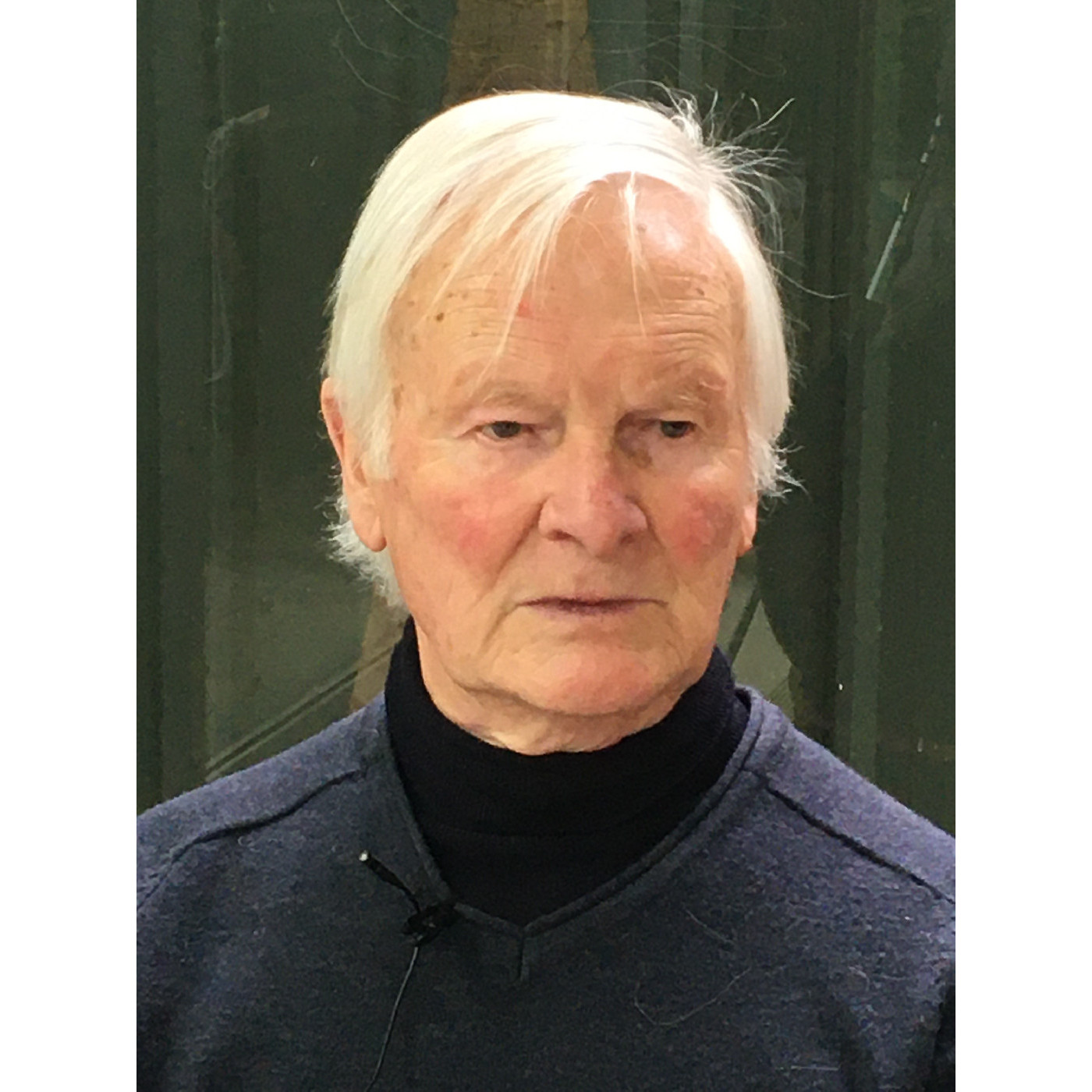 Ivars Dalins